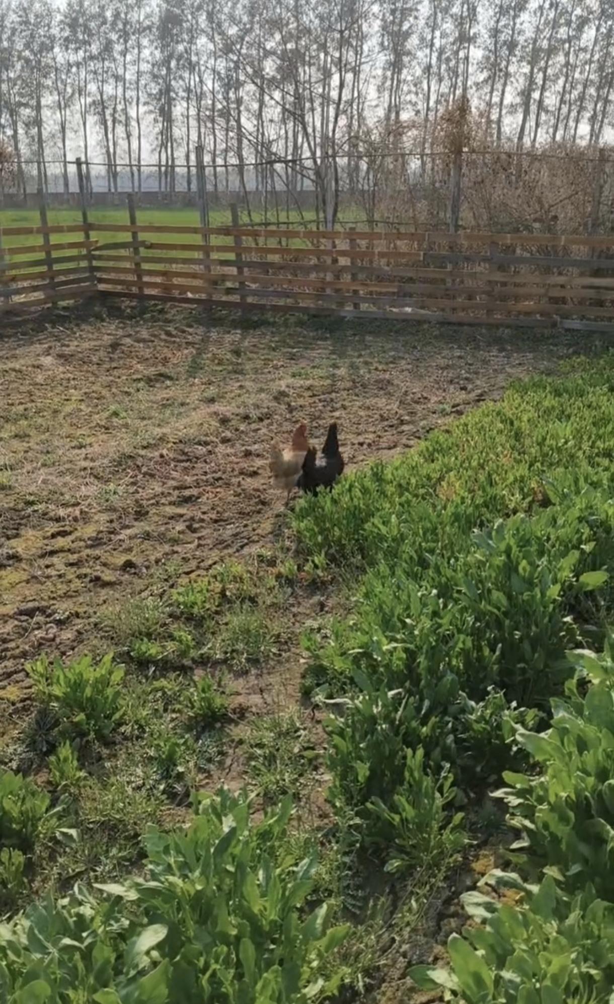 一句话概括，幸福是什么⊙∀⊙？