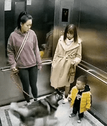 就这么制止啊？
小小的孩子，受到狗狗的骚扰，再看看这两个女人的反应，当妈妈的驱赶