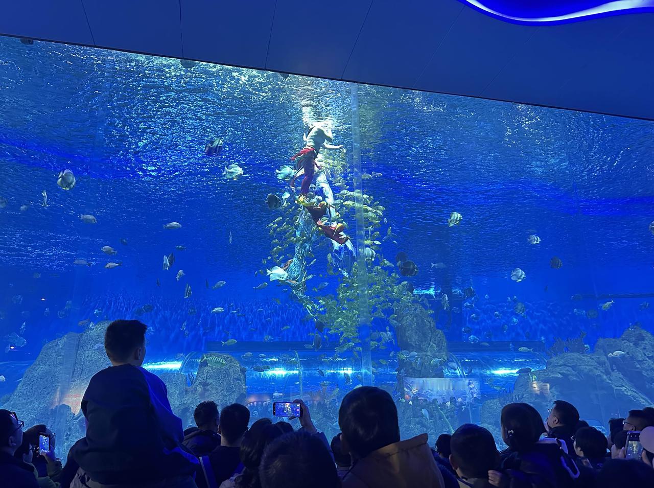快来看看我新换的主页背景吧