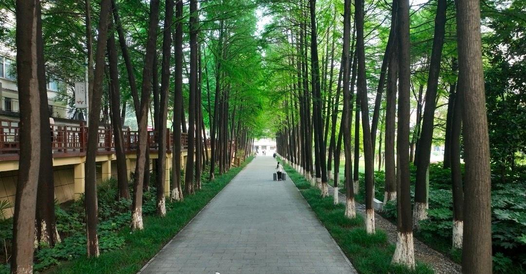 浉水河畔，文脉悠扬。
山河影满，桂冷吹香雪。
栉风沐雨，弦歌不辍。
韶华流转，又