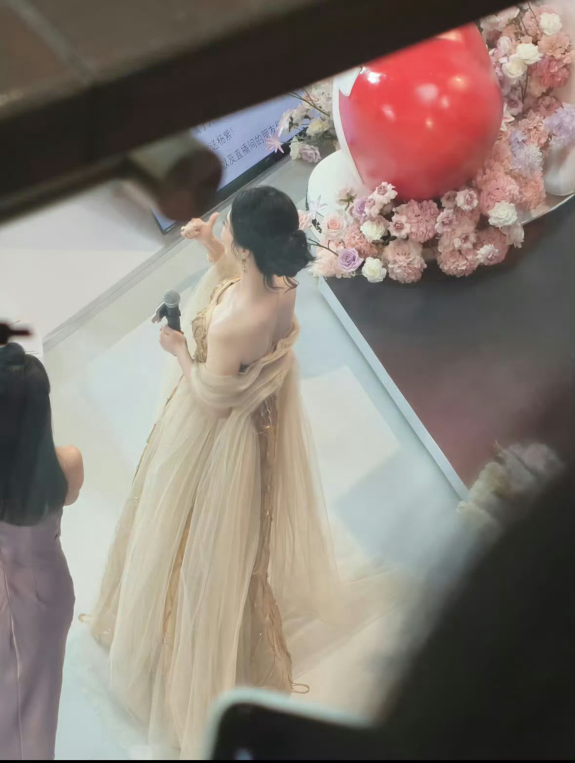 杨紫 yz杨紫家业 yz杨紫李祯 黎明会穿过黑暗在无数次擦肩而过的光明中添上一笔