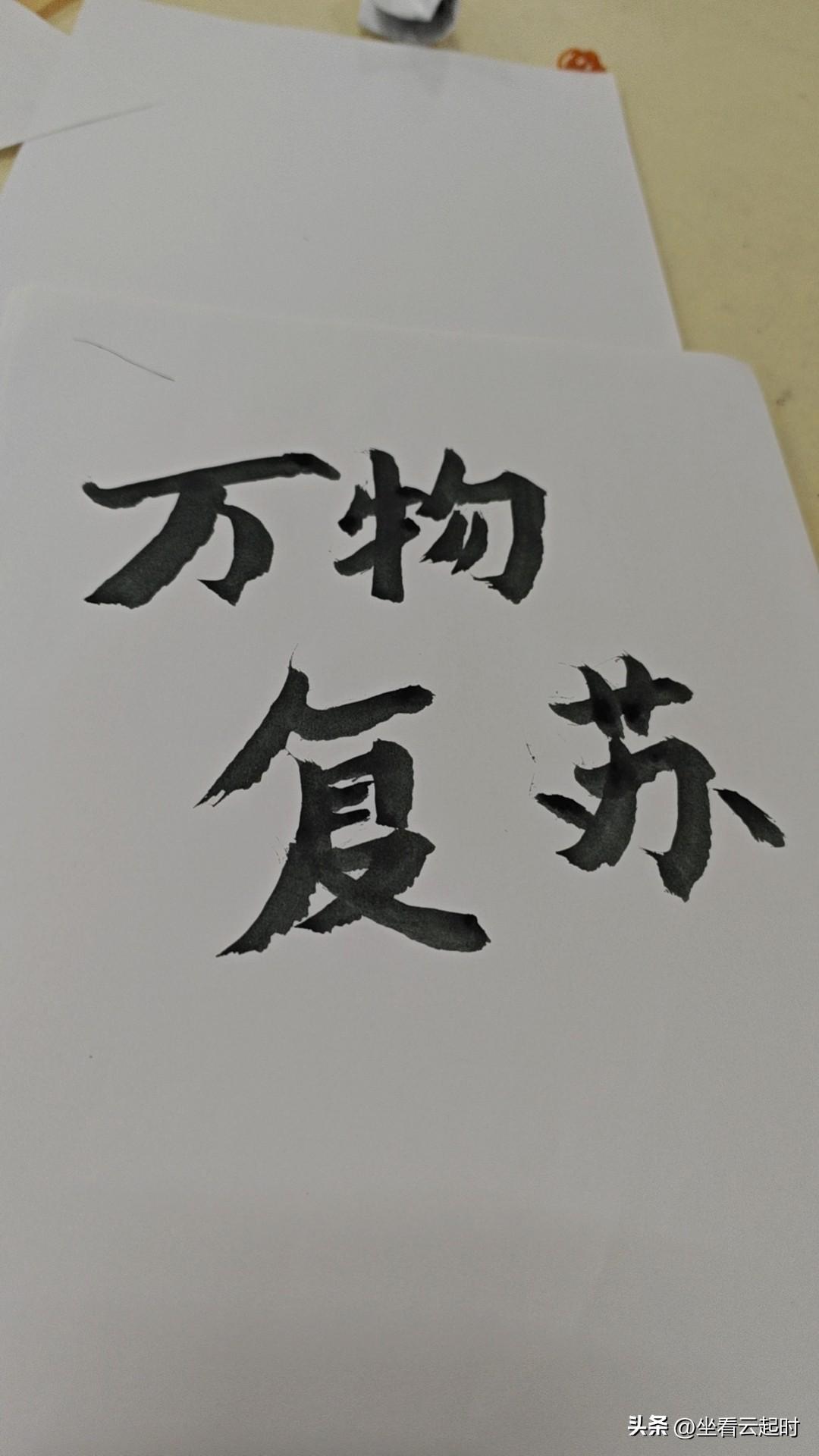 春日生活打卡季