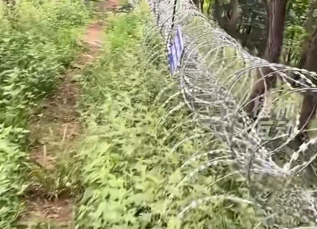 泰山景区修刀片刺绳隔离网这事引发广泛讨论，其实也见怪不怪了。景区称是为阻拦违规进