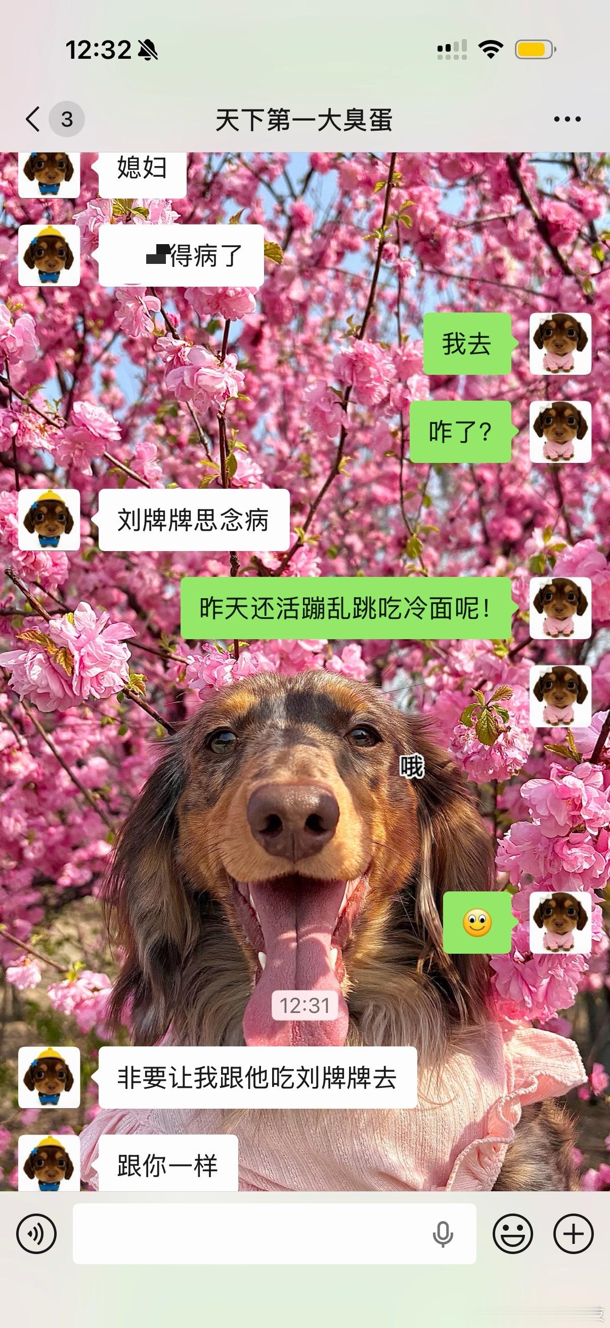 沈阳人就这样一步步把刘牌牌推广到全国哈哈哈哈哈哈哈哈哈哈