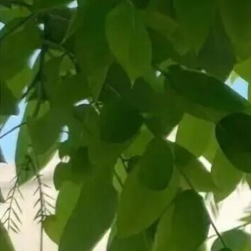 每日一善 ☀️阳光信用 ☀️每日一善 走过的生活并不完美，太完美的也就不是生活了