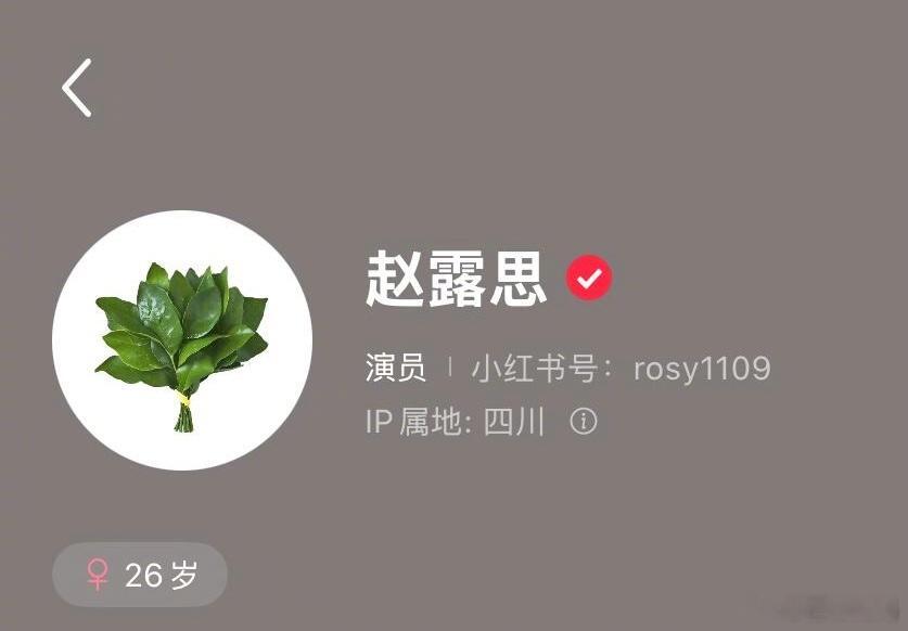 赵露思🍠最新头像换成了一把柚子叶，寓意祛除霉运，哈哈哈好运请多多降临给这个幽默