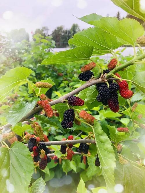 看看小时候的样子，真是感慨万千。有人像“蒋堂小站”的主人公，小时候跟着父亲工作调