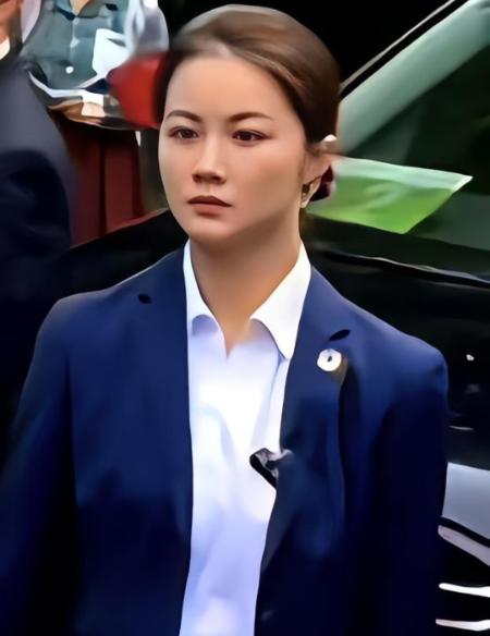 郑丽文返台大谈大陆安保！细节震撼台湾网友，彻底戳穿民进党抹黑谎言

麻烦看官老爷