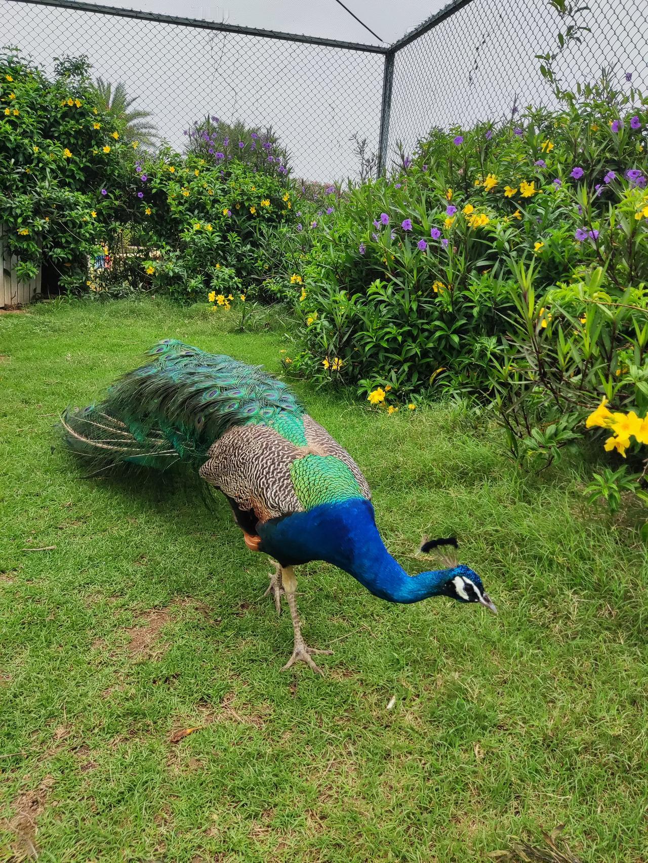 那份温暖
人的一生确实会遇到很多美好的人、事、景。那些美好就像夜空中闪烁的星星，