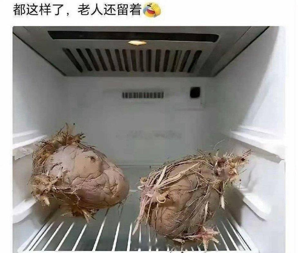 老一辈就是节约，殊不知电费都比他们贵！！！ 