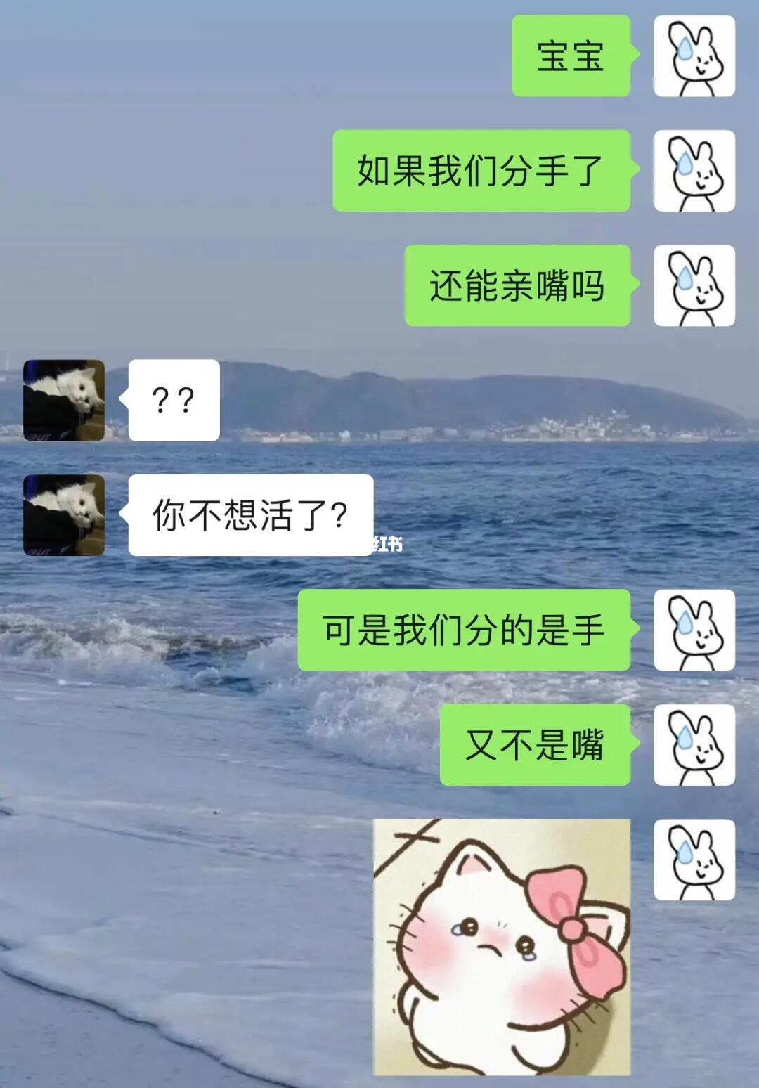 《和冤种男友的聊天日常》