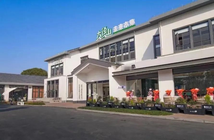 径山者，灵秀之地也。其风光旖旎，犹若天工妙绘之锦图，令人神往。峰岭嵯峨，如翠黛之
