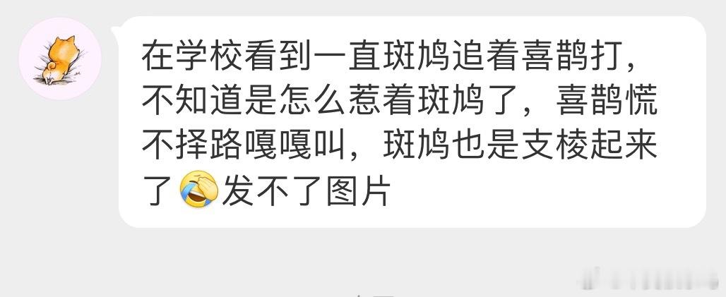 鸟粉投稿 这么勇的吗？！也是站起来了但就珠颈斑鸠那几下子花拳绣腿的…[淡淡的] 