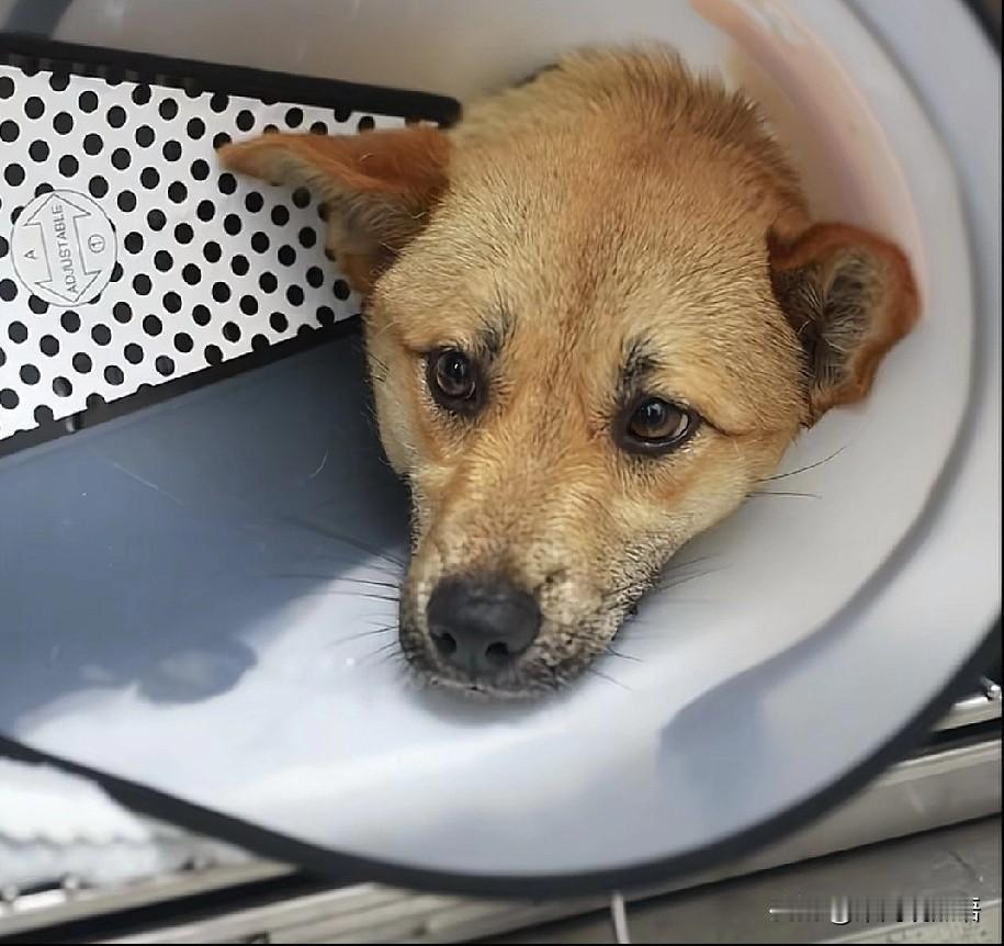 一个百思不得其解的现象：都在说出租车开一天挣不了几块油钱……可是宣城的47位出租