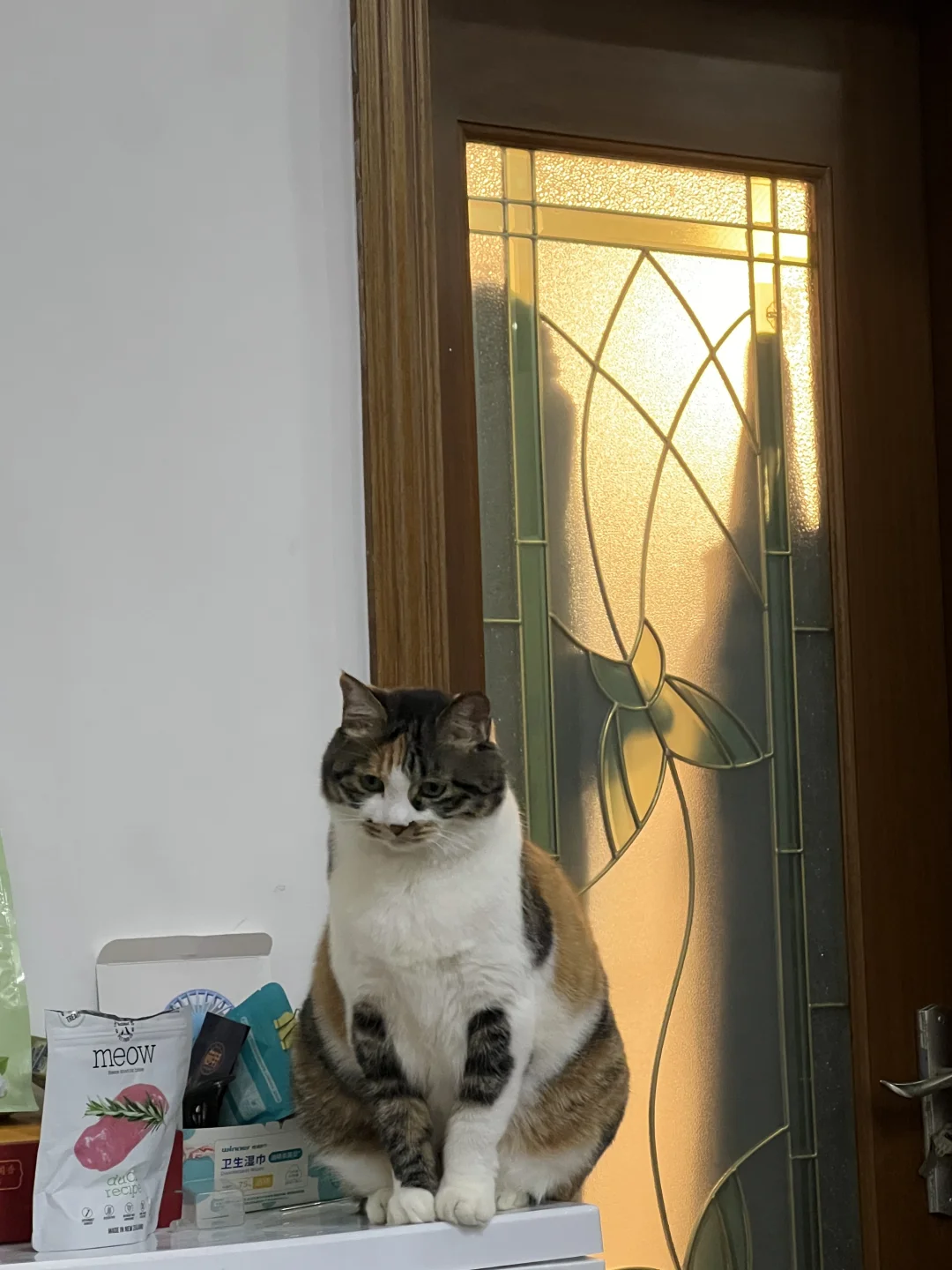 一尊猫瓶