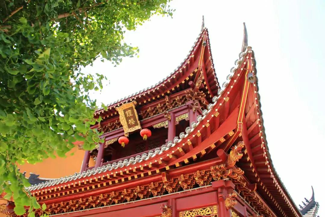 清修胜境
佛光普济寺依山顺势而筑，建筑风格独特，殿堂、楼阁齐全，规模远胜于昔。在