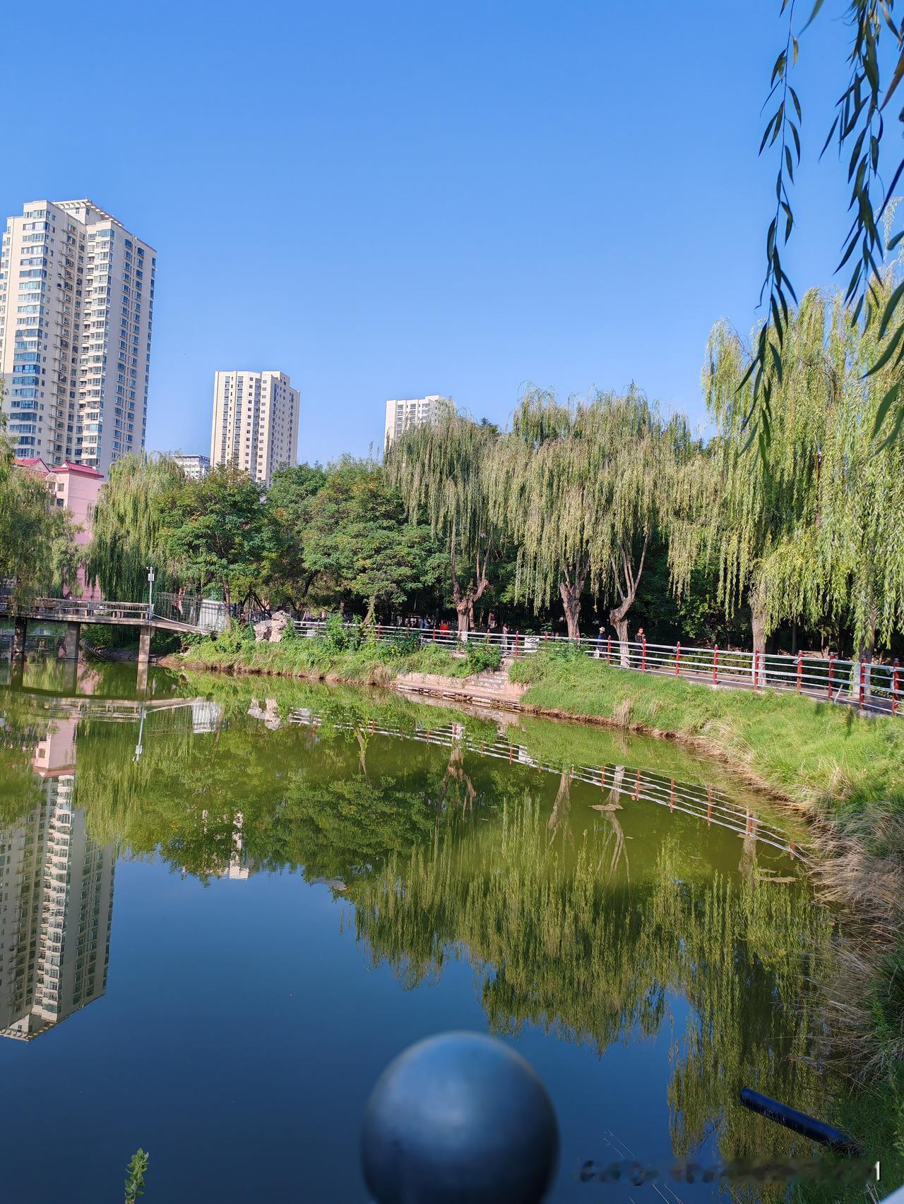 今天在兰州的一天，充实而快乐。

实在累的不行了，一天光步行了26000多公里，