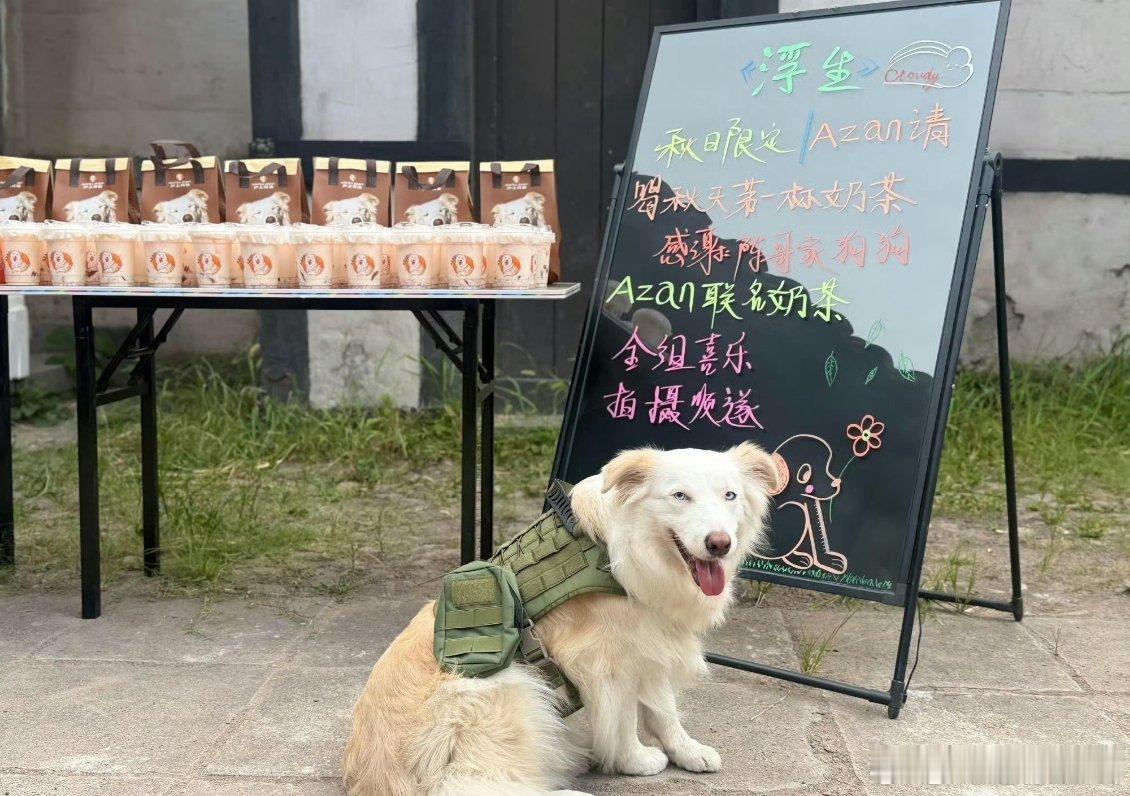 陈哲远 🔥陈哲远被桌子绊了一下🔥陈哲远看朕为你们打下的彩虹🔥 陈哲远英寡小