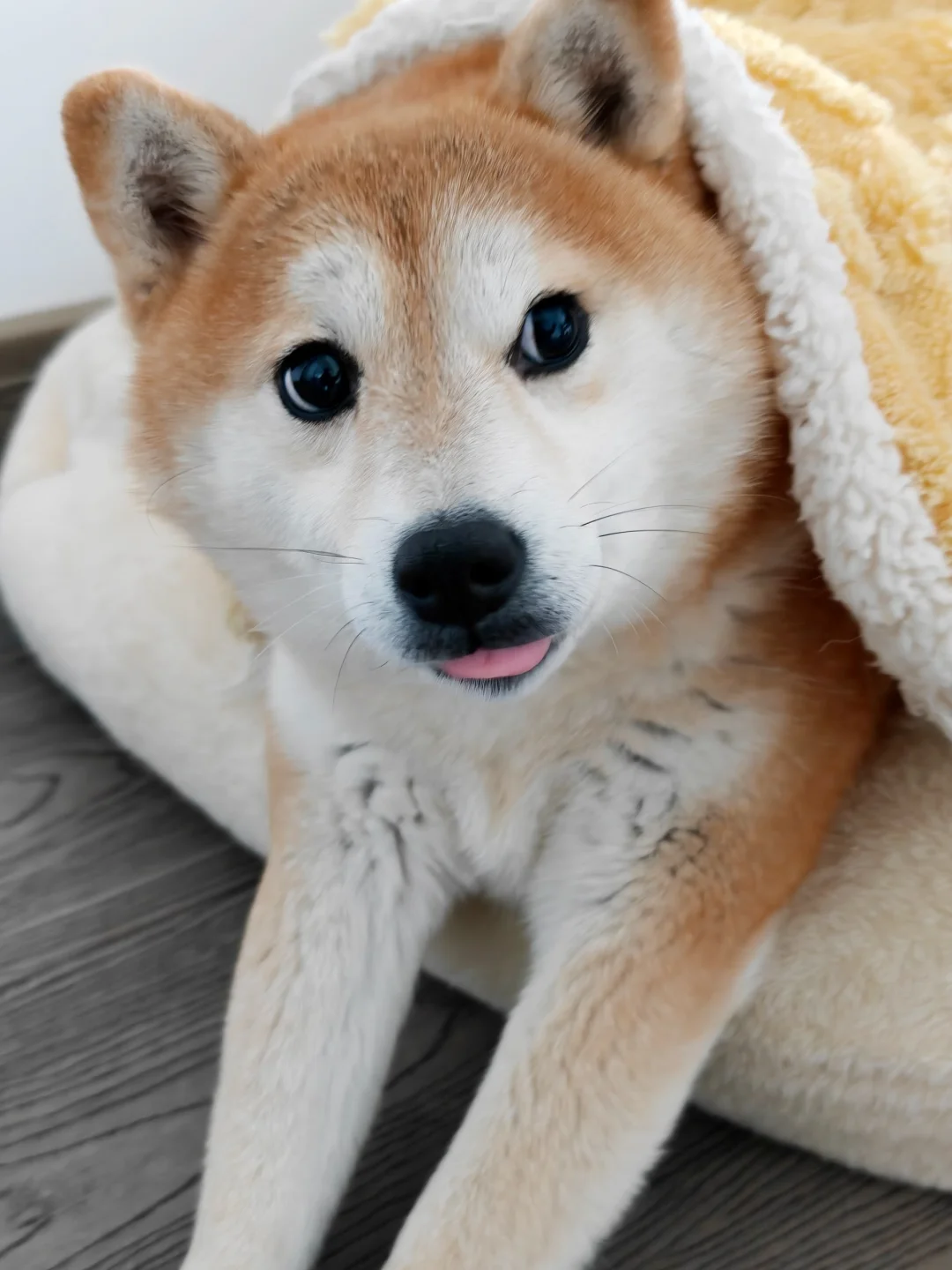 柴味超浓的卷饼