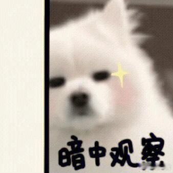 玩加早安 大家都是什么星座呢2026lpl2026lck