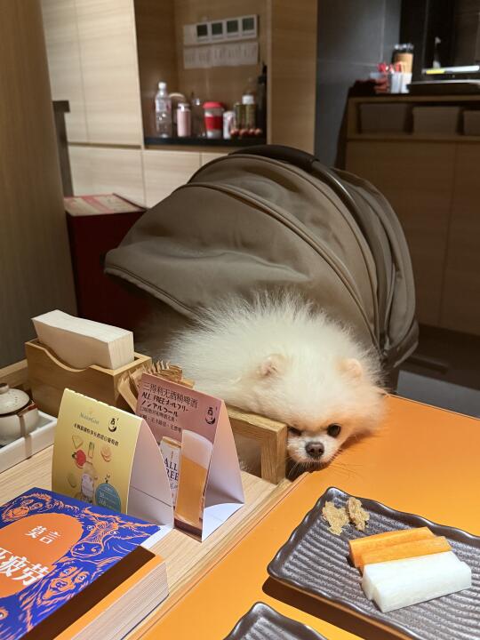 正常情况是不允许小老鼠上桌的