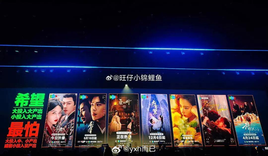 这些都是播出效果很好回报率的：折腰 庆余年 雁回时 九重紫 玫瑰的故事 在暴雪时