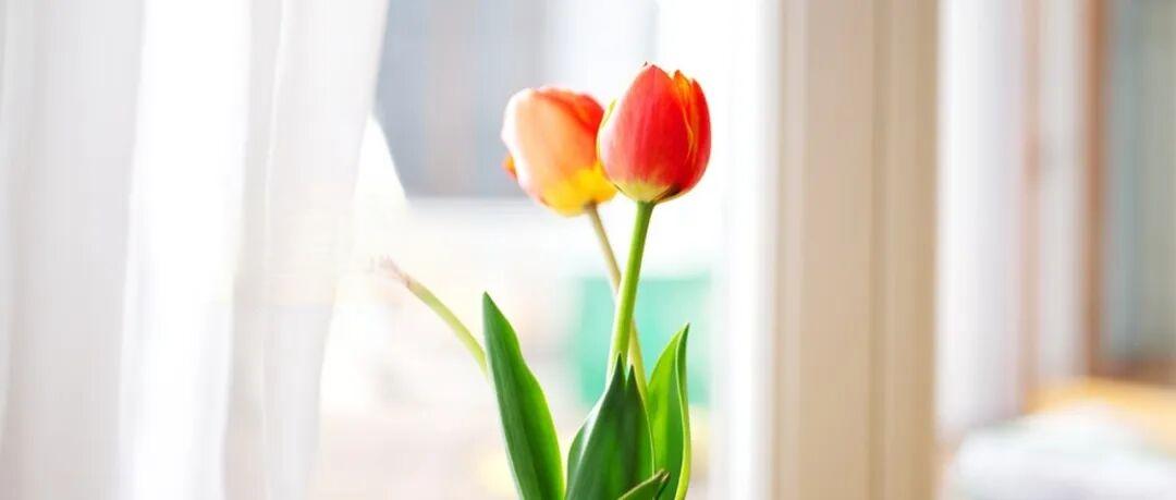 男生多高算矮呢？
我小表弟身高163，今年27岁，从年头到年尾，相了九次亲，都被