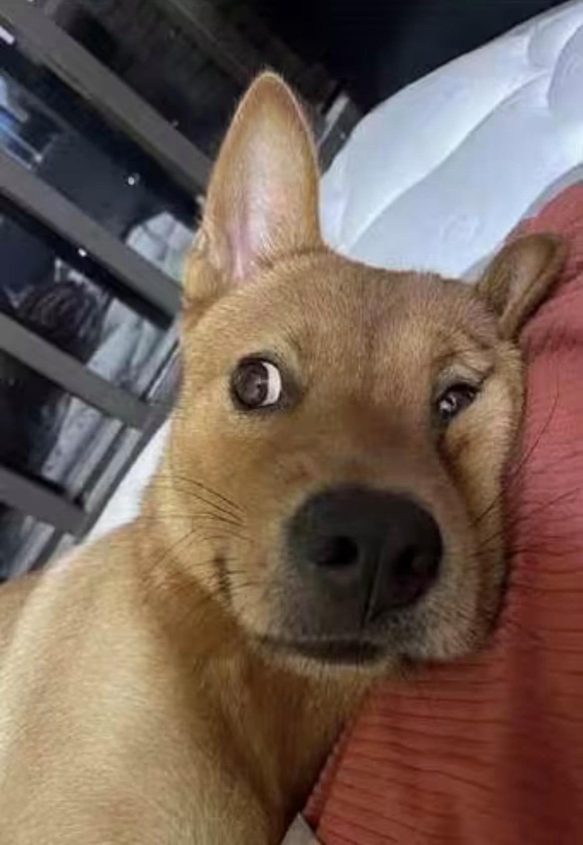 不是说我今天减持就晚上一定会跌的，也不代表不看好后市，相反长期趋势我看好纳指的。