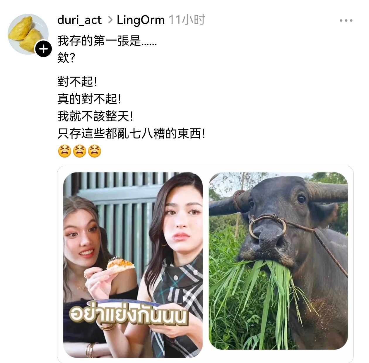 虽然但是真的很形象🤣🤣 