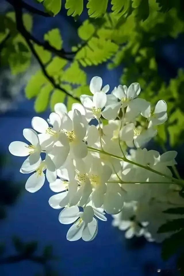 人呐，这一辈子，你挣不到钱，就是个废物；你结不了婚，就是个废人。可人活一世，草木