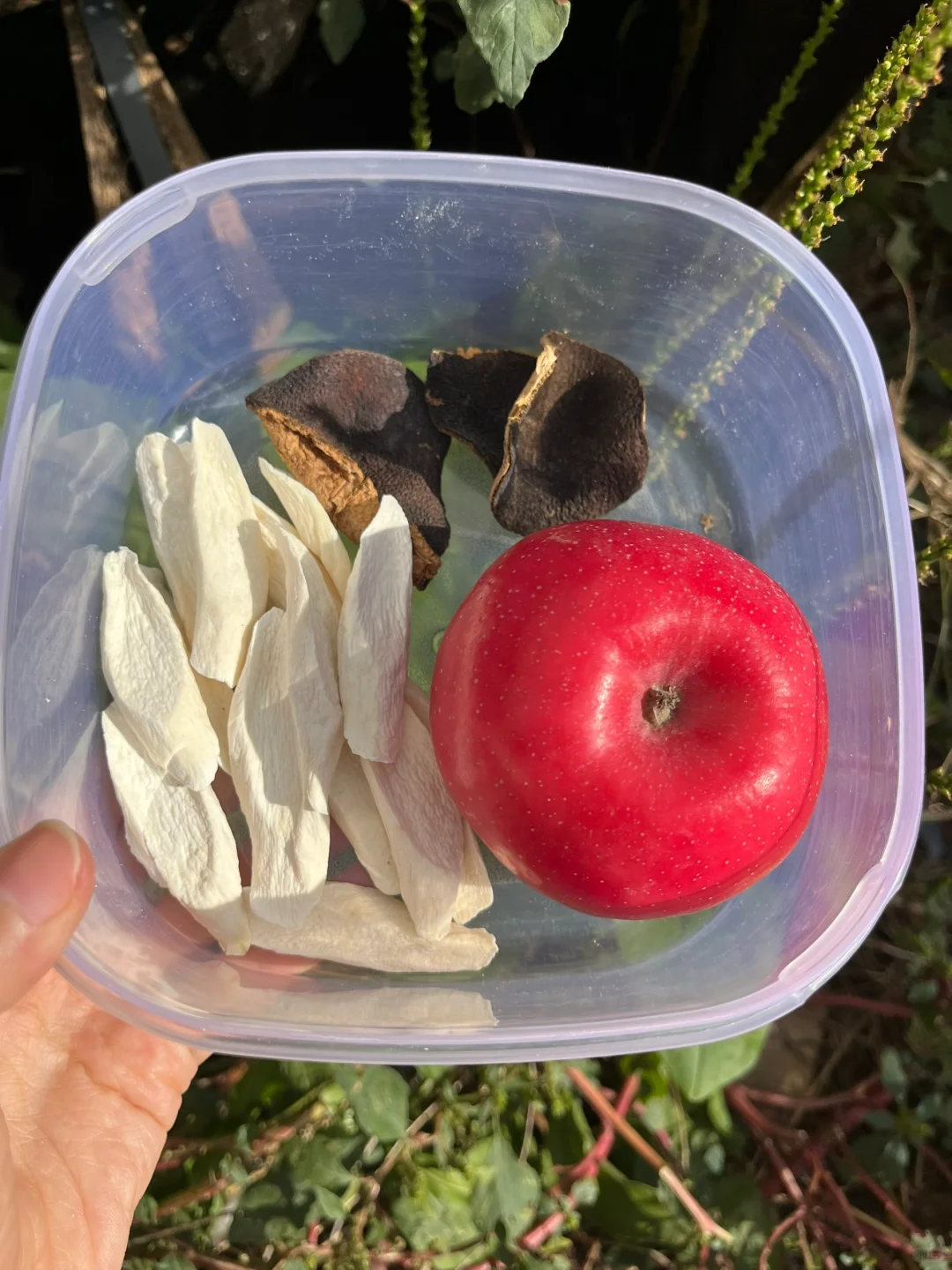 山药苹果陈皮水，孩子连喝3天，真的不失望！