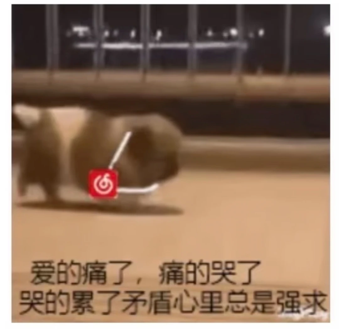 我趣！陈慧琳新！代！言！来！了！！！