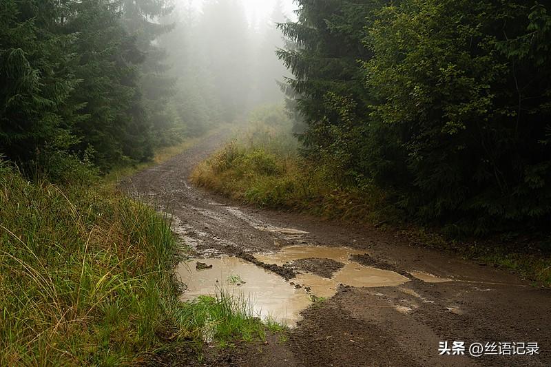 我怕雨天
滋生自己的惰性
所以决定不再懒床
干完院子里的活儿
我又开三轮车
冲进
