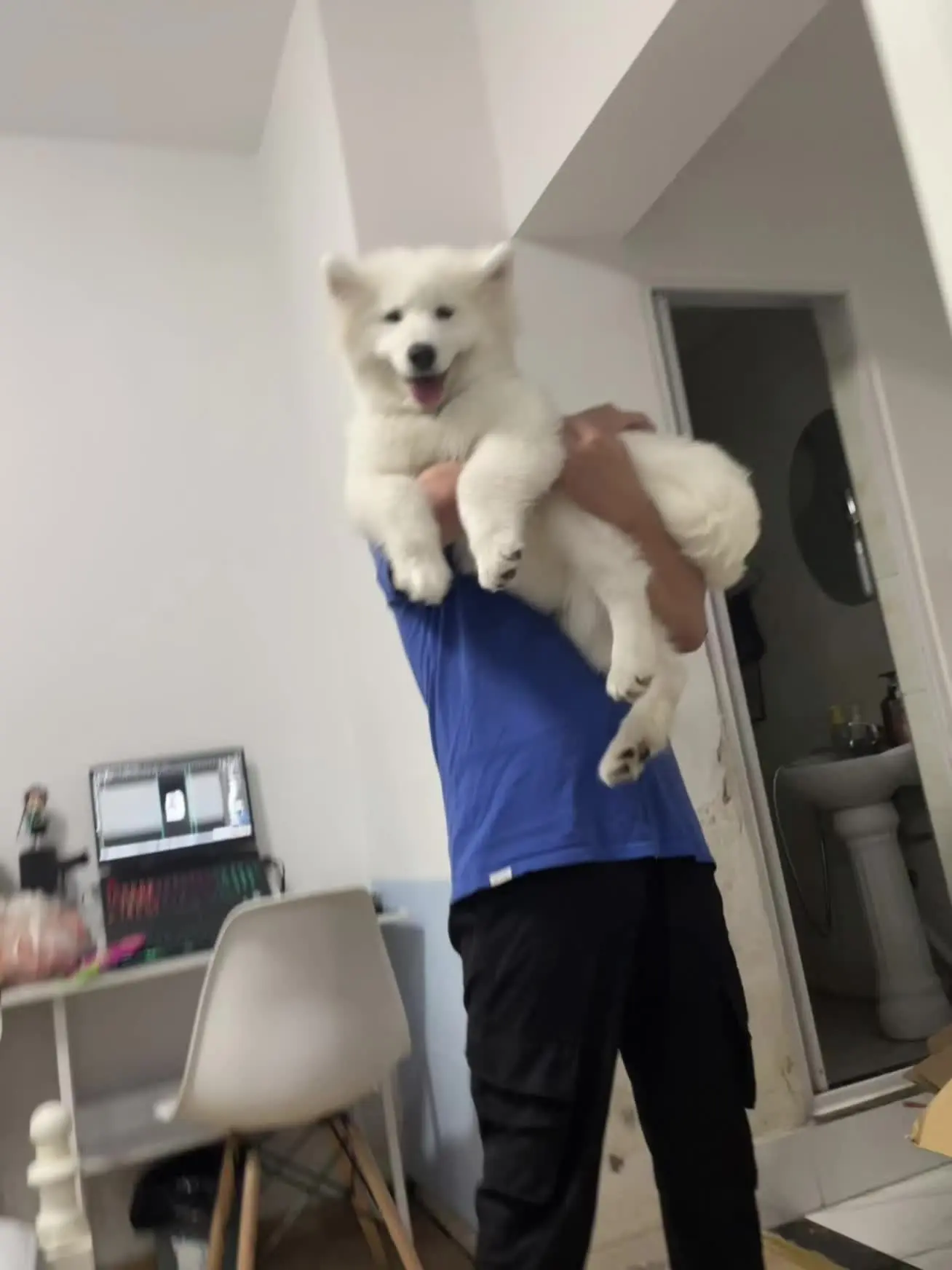 时间的参照物 是你慢慢养大的小狗