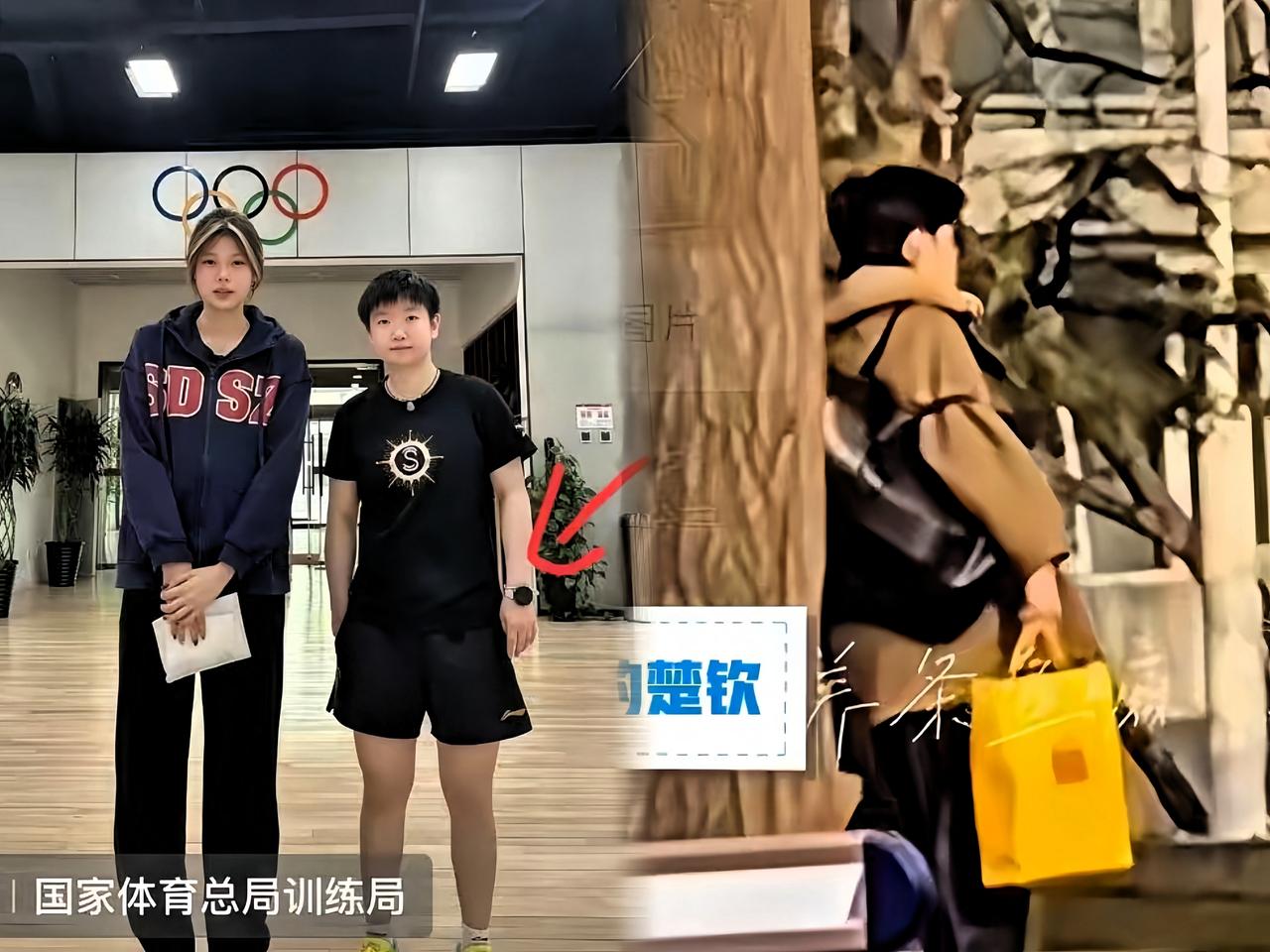 今天是双倍惊喜！
莎莎头哥都回归训练啦！

一大早刷到莎莎在训练馆的合照，
下午