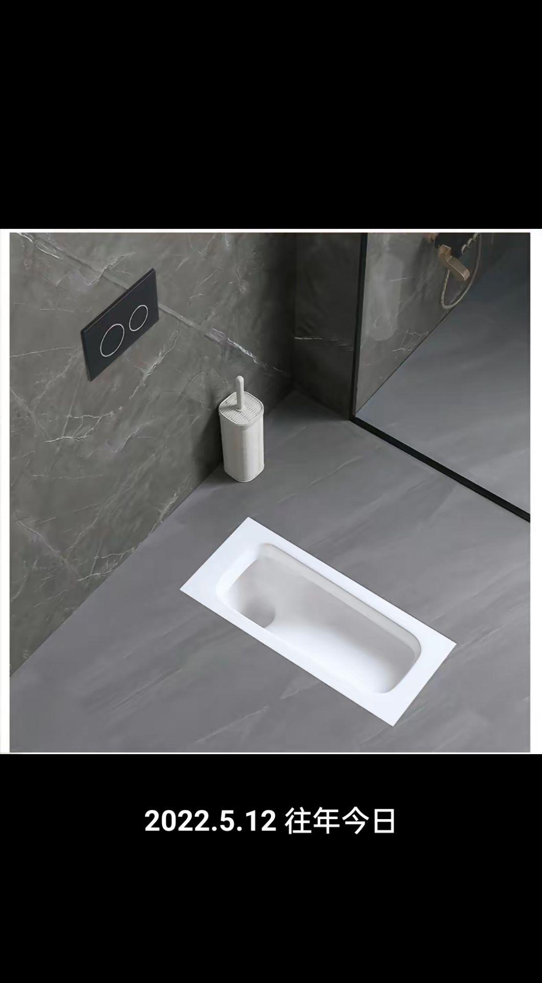 下沉式卫生间专用蹲便器