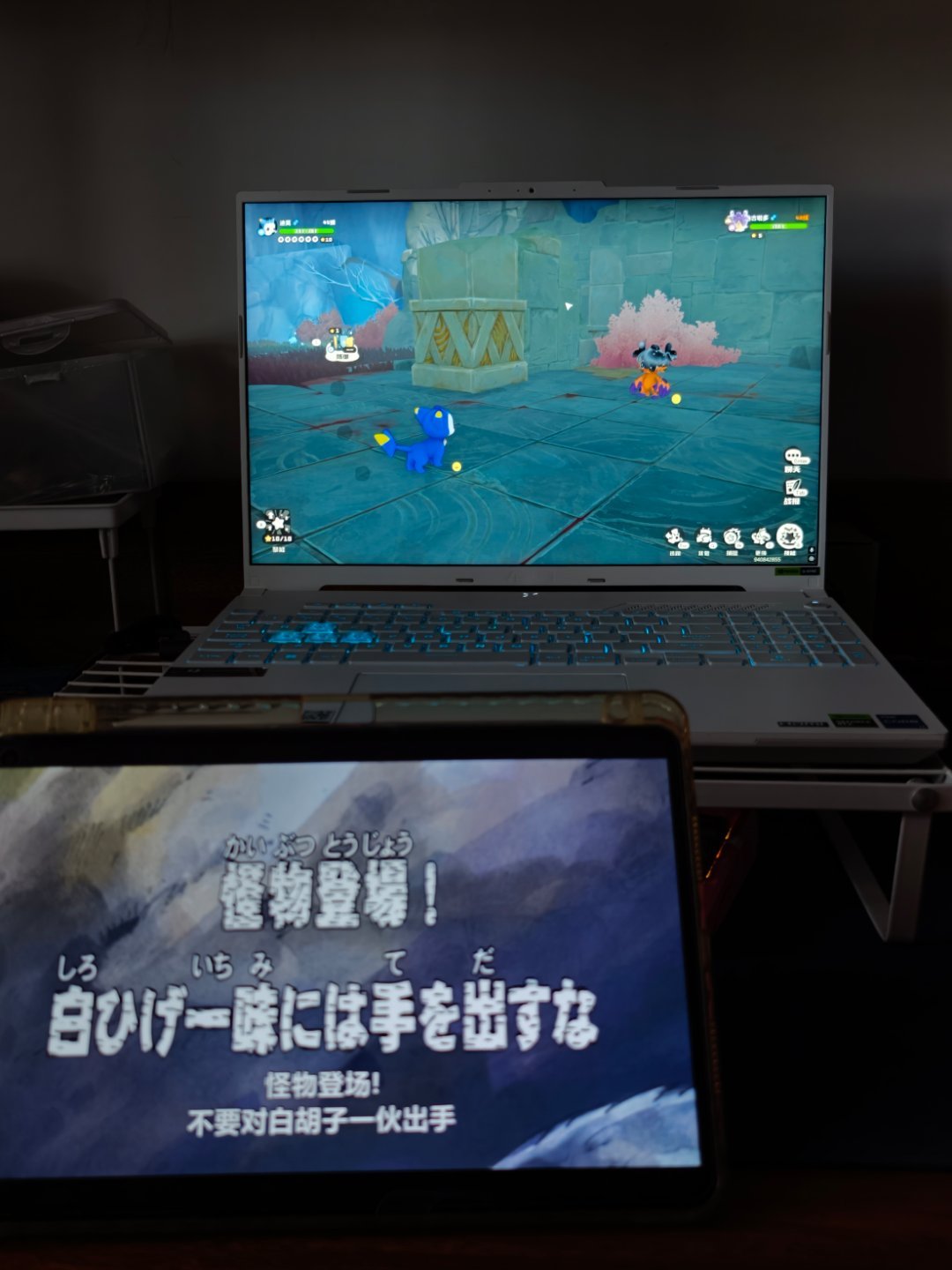 我就这么守了这个野生黑白一天