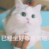 暖心冰爱品体育