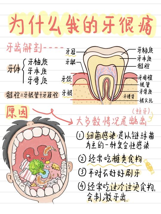 牙疼不是病，疼起来真要命❗