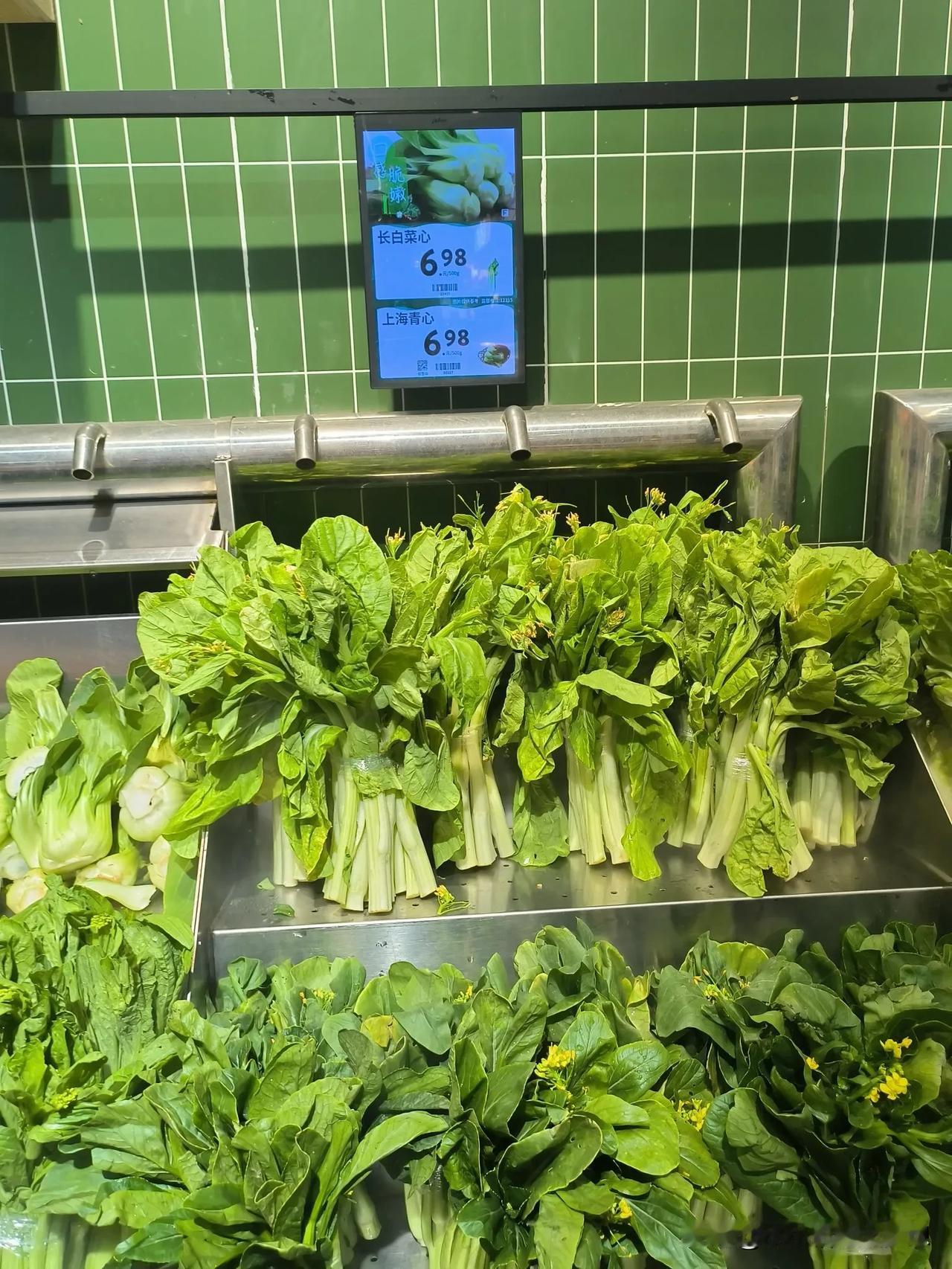 大家有没有发现最近的菜简直贵的离谱？！大白菜3块
菜心7块
上海青5块
黄瓜5块