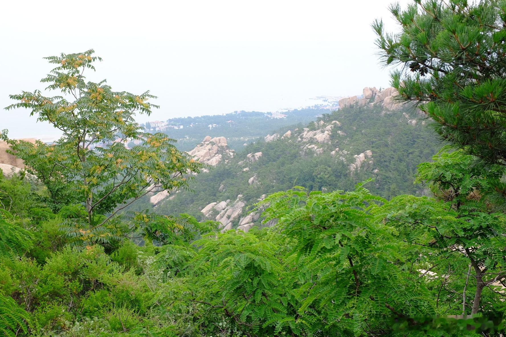 爬山爬到腿软，幸好我这阵有锻炼，勉勉强强。 青岛·崂山风景区