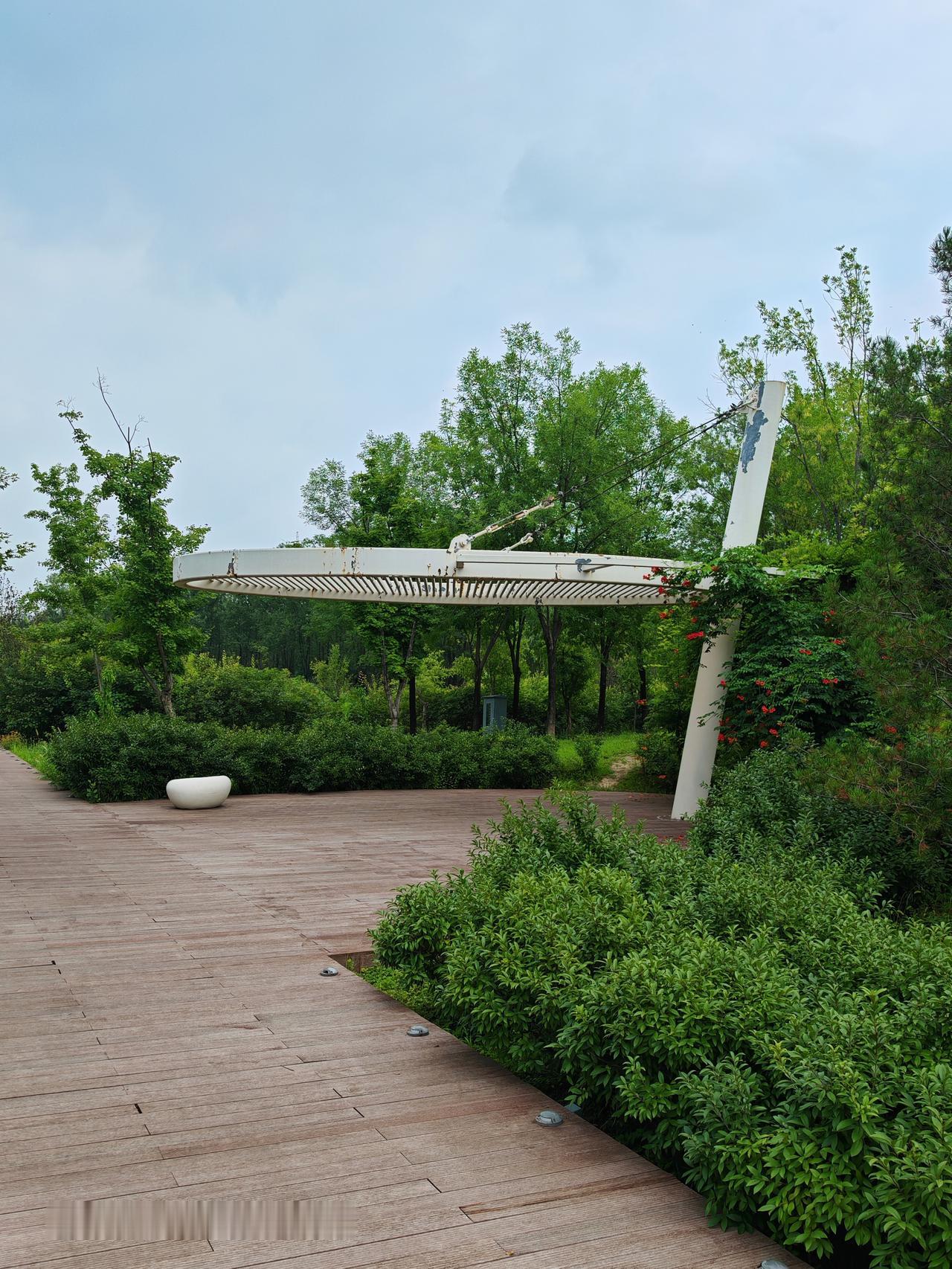 漫步公园，享受自然之美。北京温榆河公园里风景独好散步公园风景