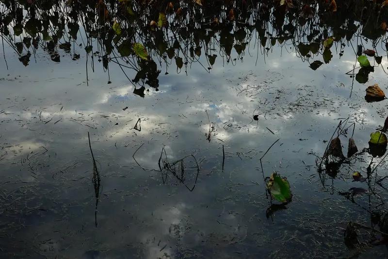 看到“云随雁影沉秋水”这个上联，瞬间就来了兴致。在古诗词里，云常与雨雪日月等工对