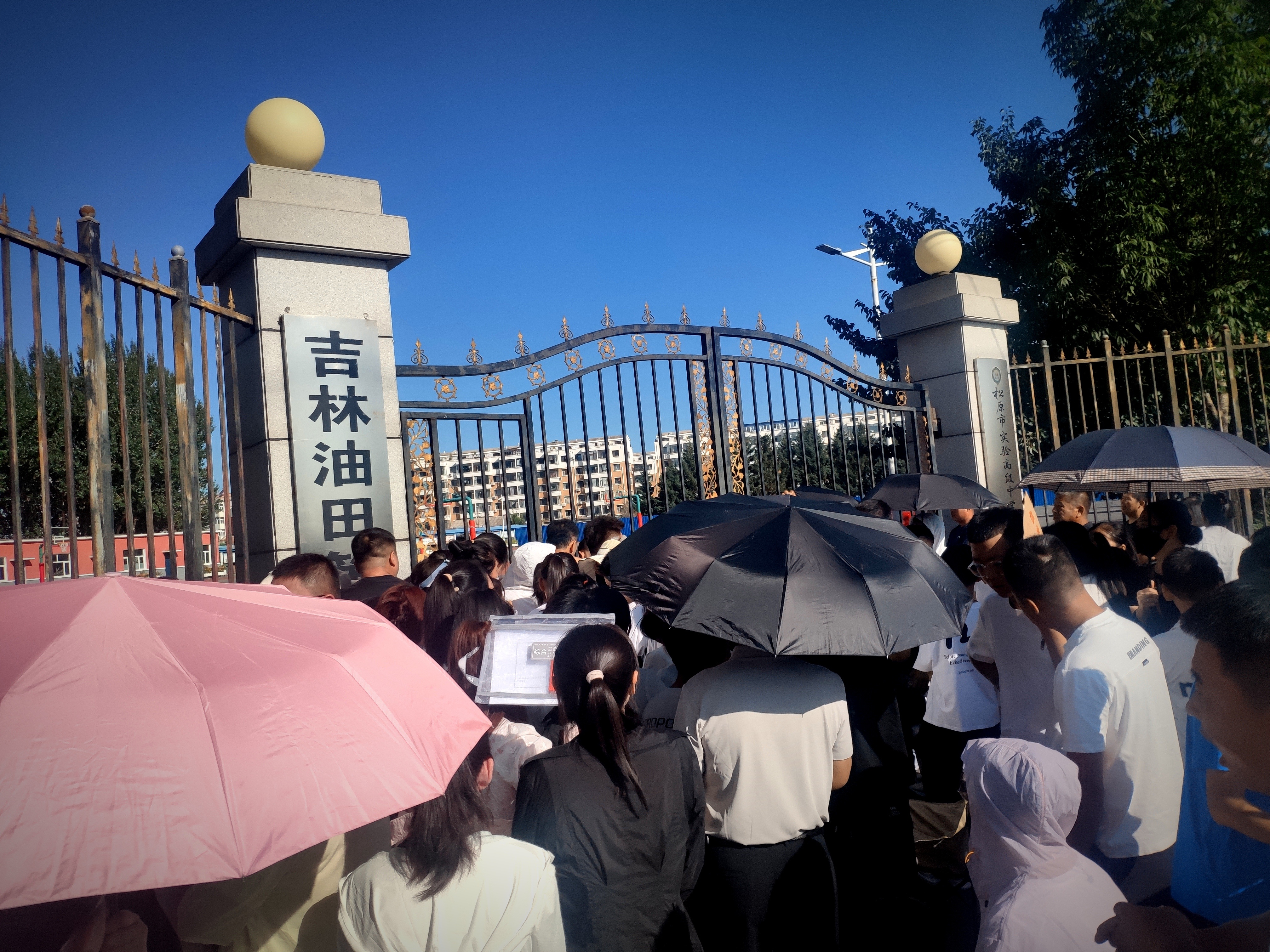 殚竭心力终为子。 