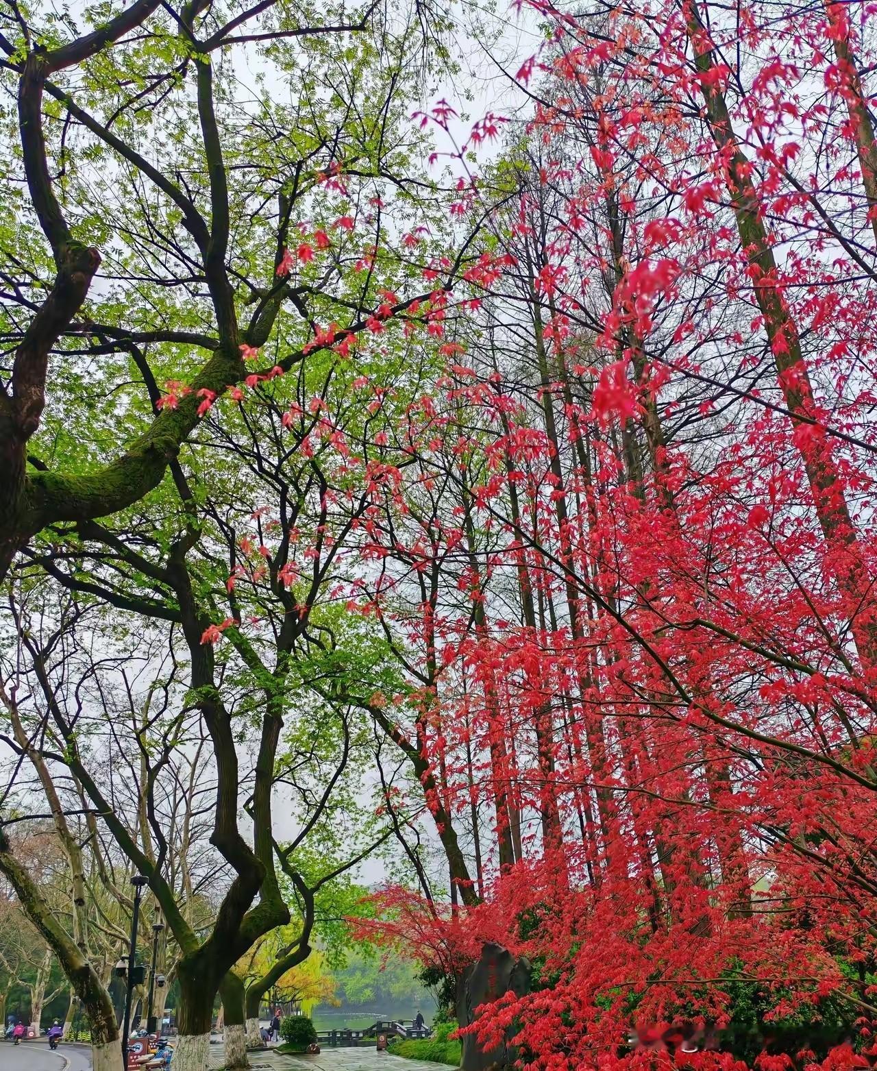 每周有两个晚上要在学校留宿，我实在难以适应这环境，躺在宿舍床上辗转反侧，怎么都睡