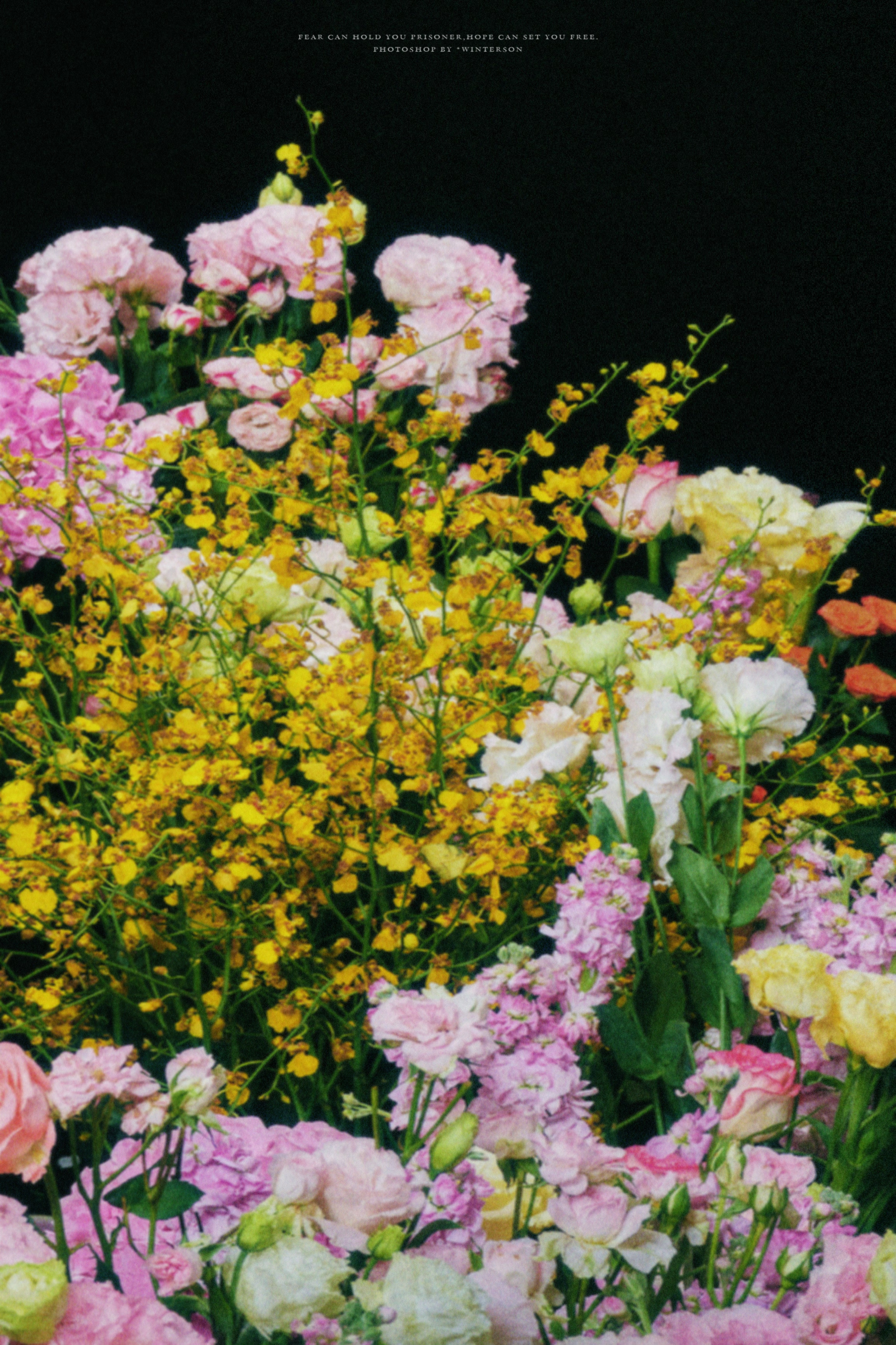 张极.🌸🌷 ​​​