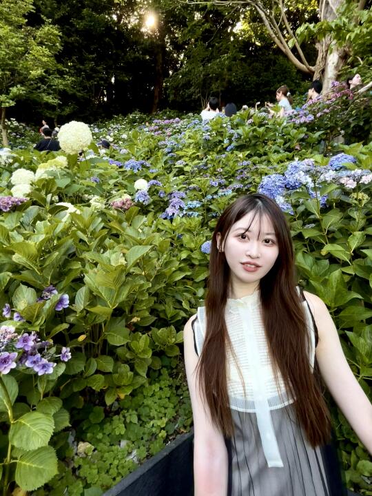 上周去长谷寺看紫阳花啦！