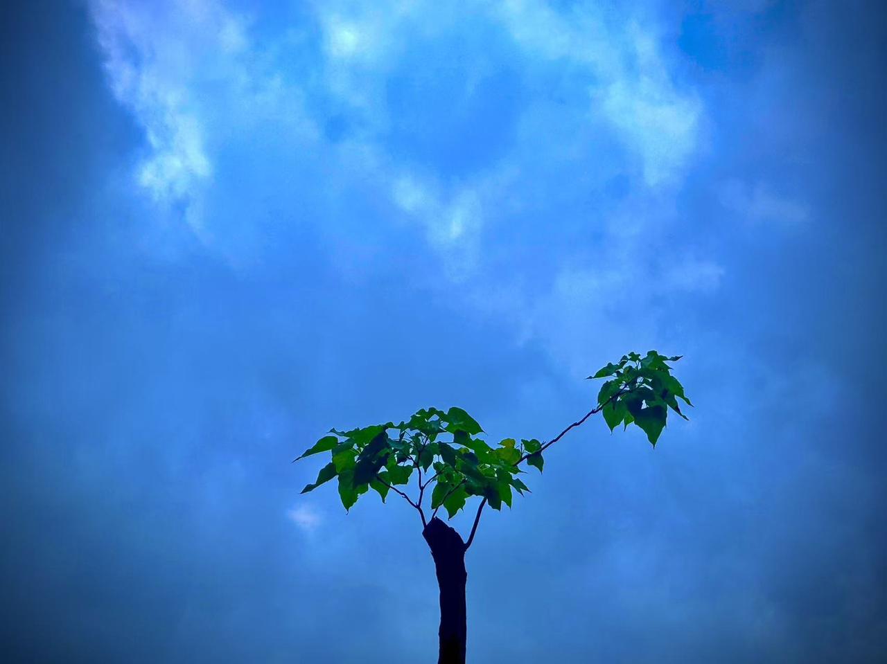 我的今日状态：😁轻松愉快
我这里的天气：☀️晴天
    乌云的命运
    