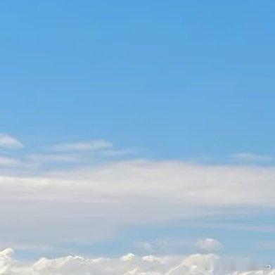 阳光信用[超话]  阳光信用  [太阳]  每日一善  不惊扰别人的宁静，就是慈