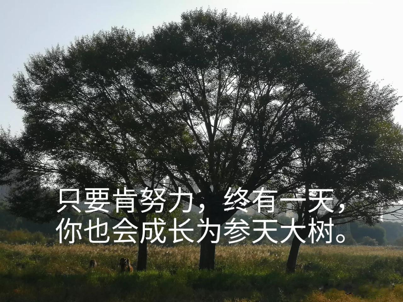 喜欢炒股的朋友赶紧关注我
当趋势的走向完全在你的预判之中时；
当你轻轻松松的躲开